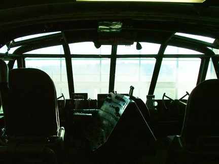 Goose Cockpit3